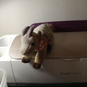 Beenie babies all retired all in good condition